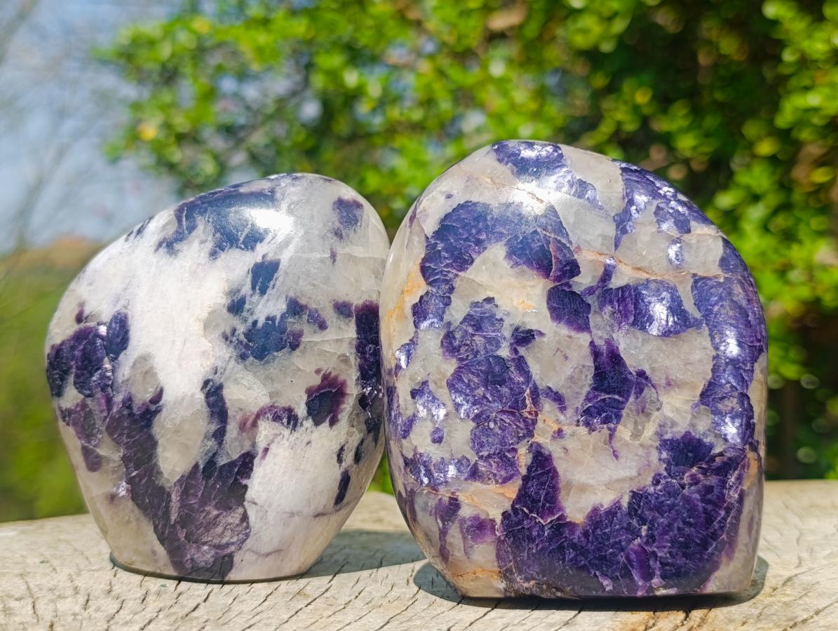 Polished Lepidolite Standing Display Pieces x 6 From Zimbabwe