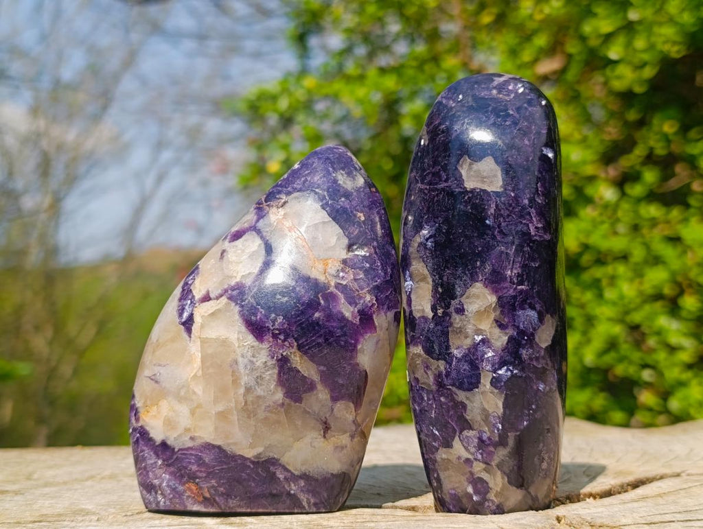 Polished Lepidolite Standing Display Pieces x 6 From Zimbabwe