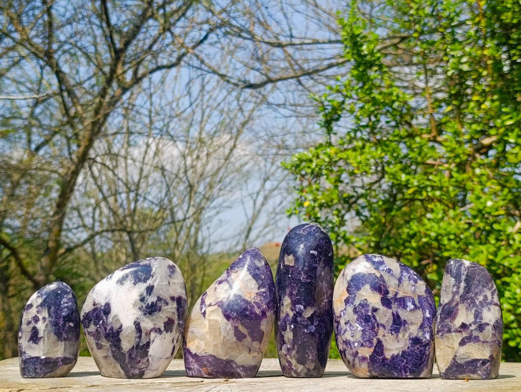 Polished Lepidolite Standing Display Pieces x 6 From Zimbabwe