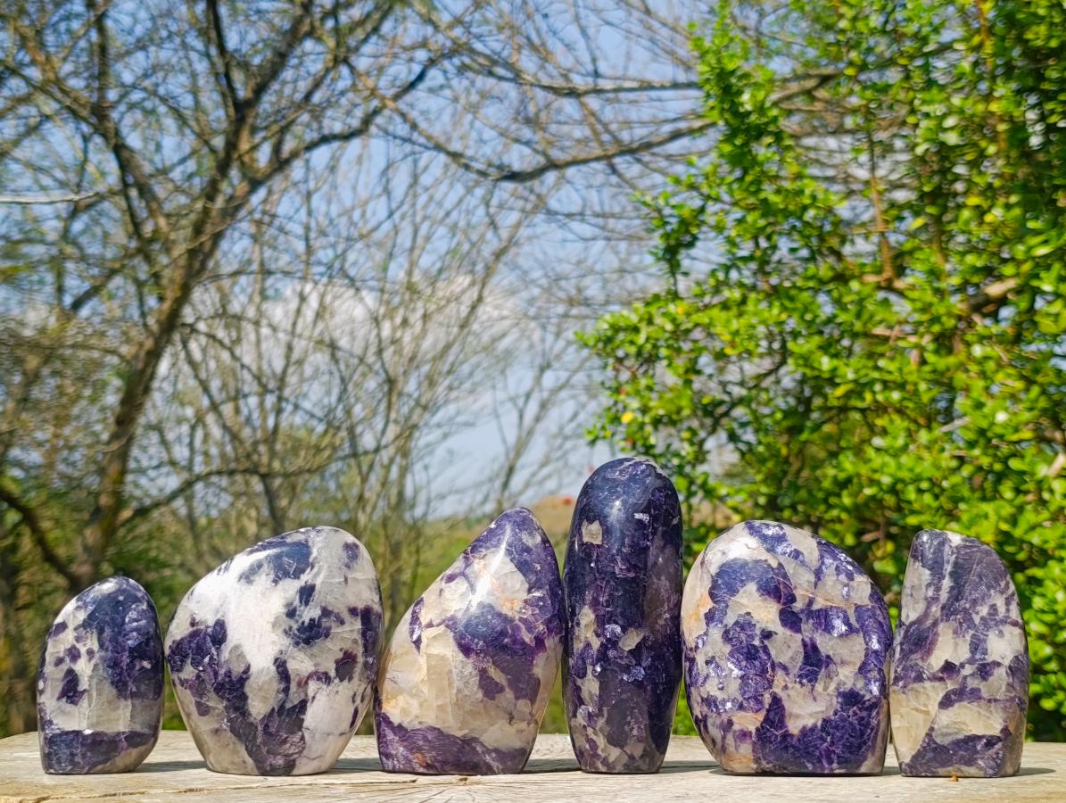 Polished Lepidolite Standing Display Pieces x 6 From Zimbabwe