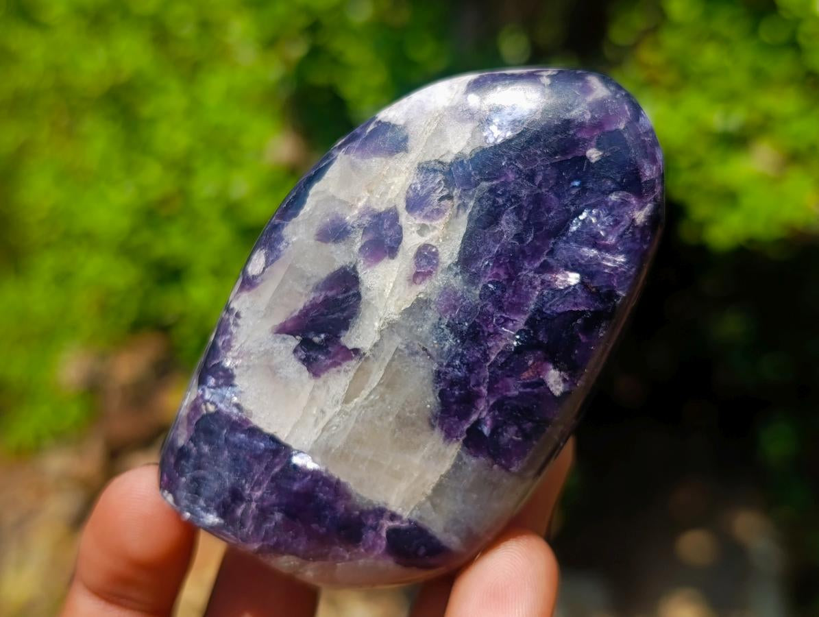 Polished Lepidolite Standing Display Pieces x 6 From Zimbabwe