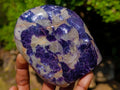 Polished Lepidolite Standing Display Pieces x 6 From Zimbabwe