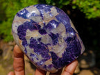 Polished Lepidolite Standing Display Pieces x 6 From Zimbabwe