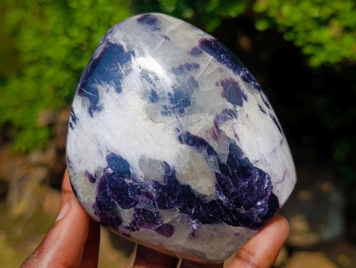 Polished Lepidolite Standing Display Pieces x 6 From Zimbabwe