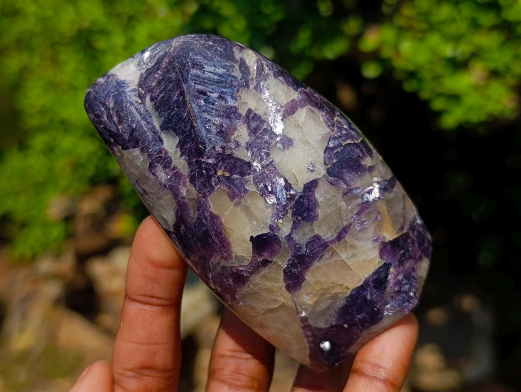 Polished Lepidolite Standing Display Pieces x 6 From Zimbabwe