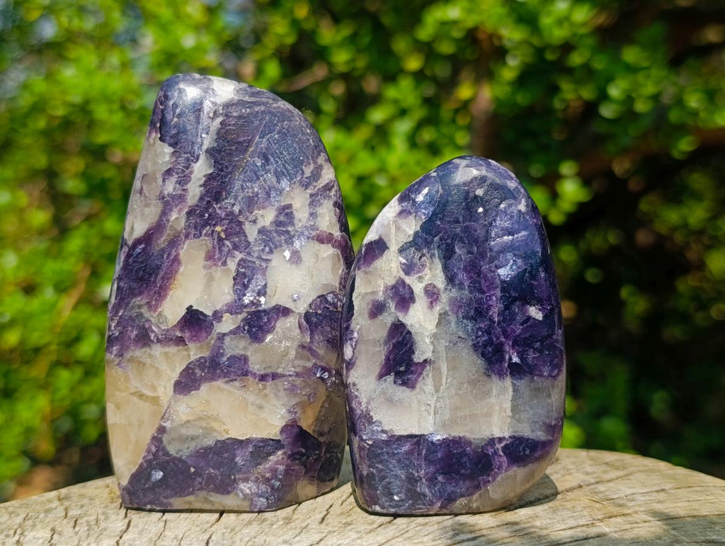 Polished Lepidolite Standing Display Pieces x 6 From Zimbabwe