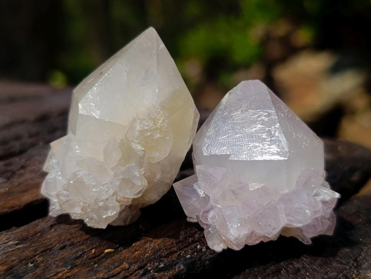 Natural Mix of Spirit Quartz Crystals x 110 From Boekenhouthoek, South Africa