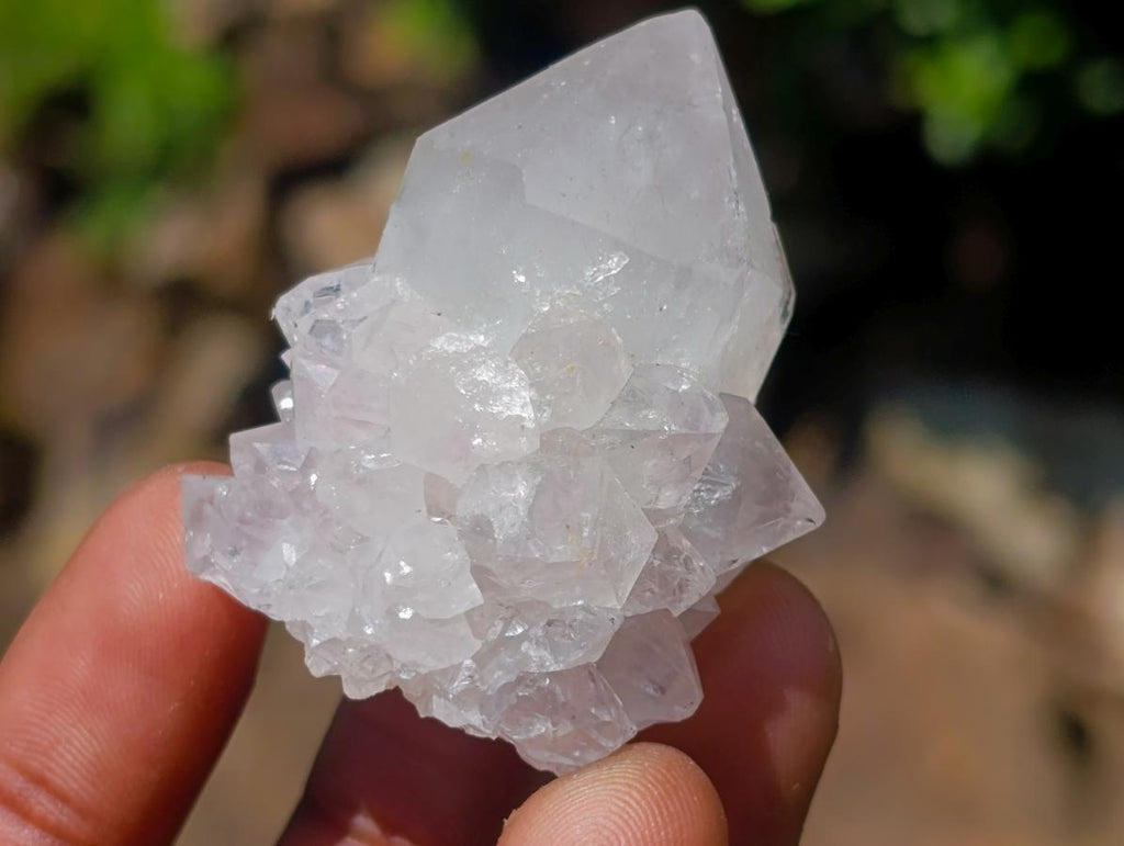Natural Mix of Spirit Quartz Crystals x 110 From Boekenhouthoek, South Africa