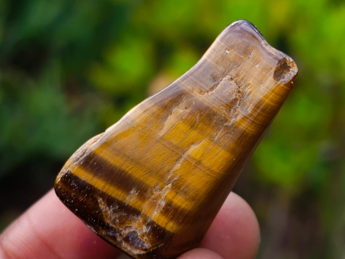 Polished Golden Tigers Eye Tumbled Slices x 111 From Prieska, South Africa
