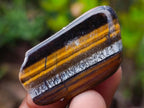 Polished Golden Tigers Eye Tumbled Slices x 111 From Prieska, South Africa