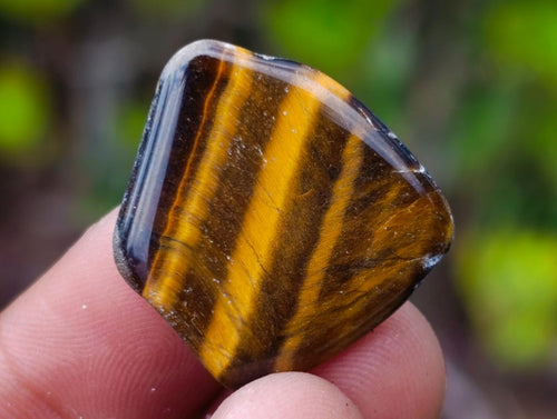 Polished Golden Tigers Eye Tumbled Slices x 111 From Prieska, South Africa