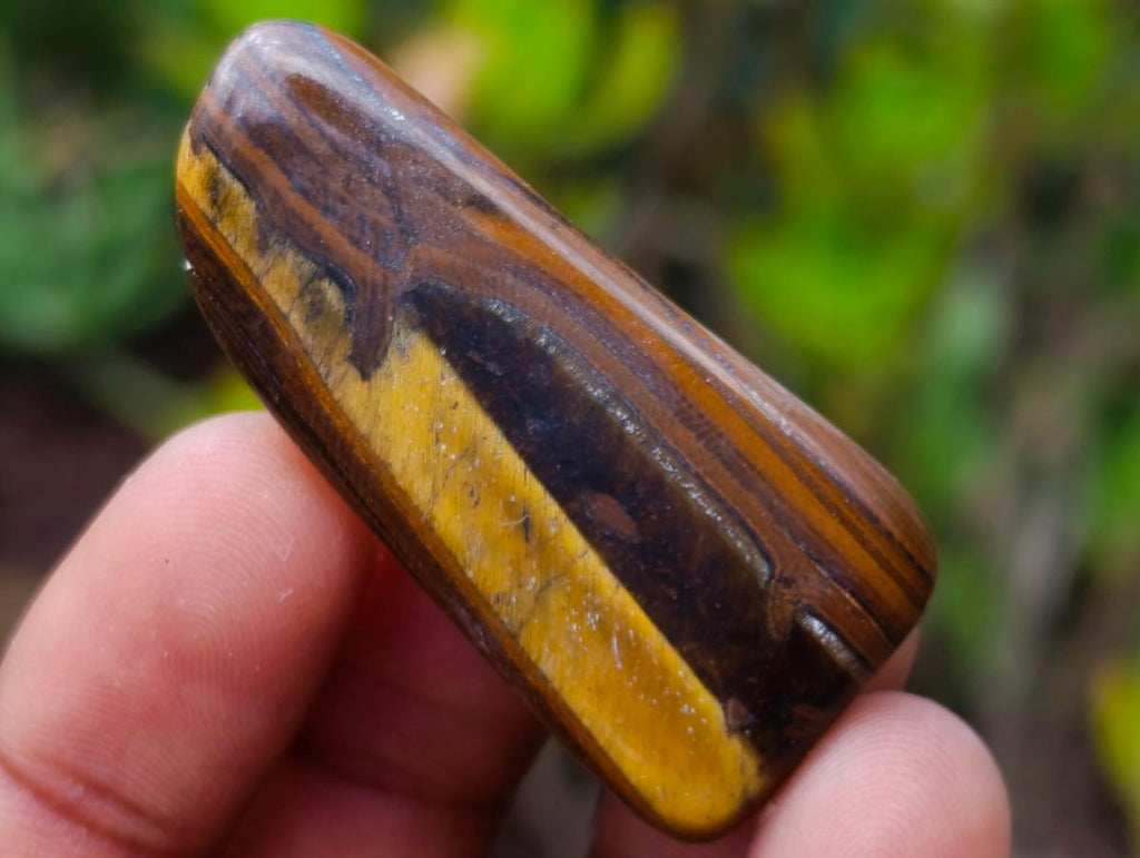 Polished Golden Tigers Eye Tumbled Slices x 111 From Prieska, South Africa
