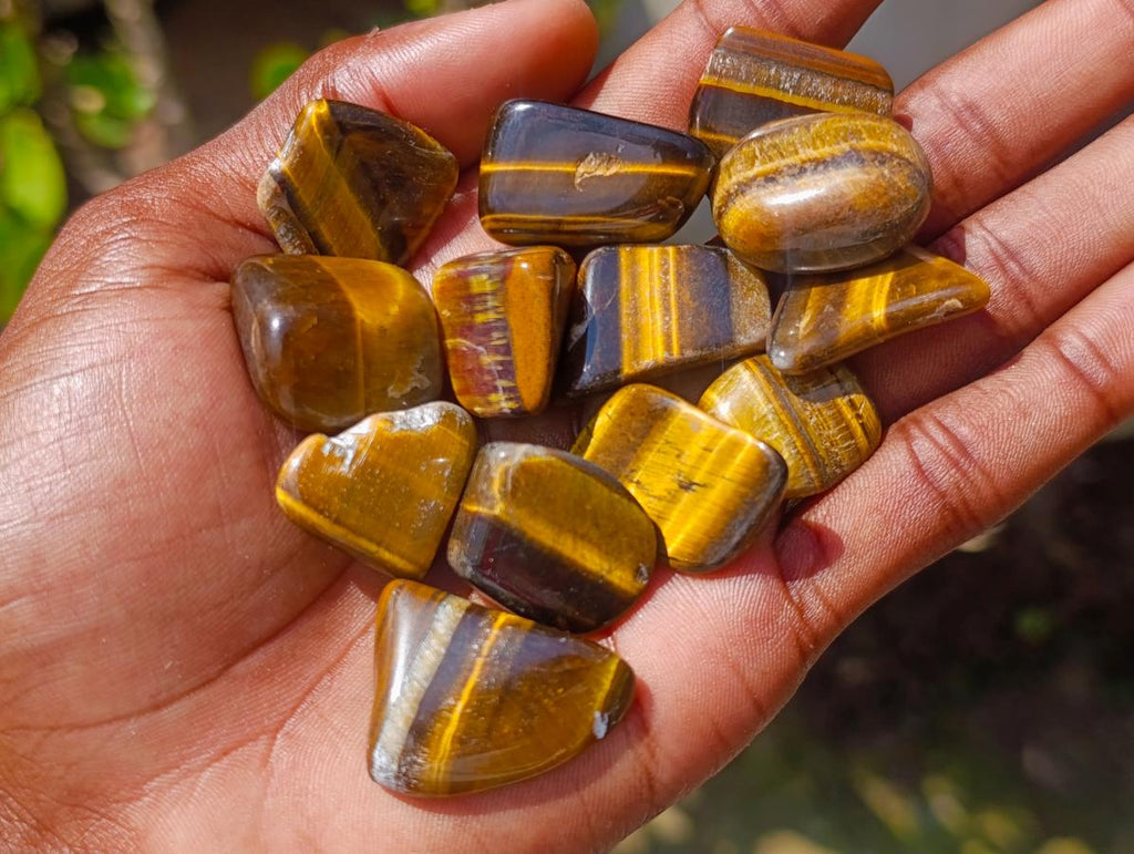 Polished Golden Tigers Eye Tumbled Slices x 111 From Prieska, South Africa