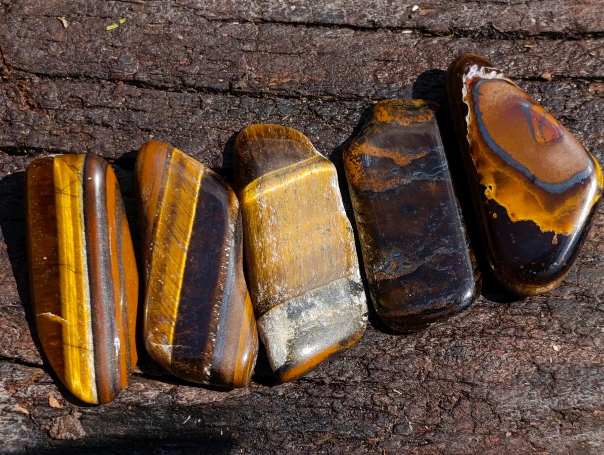 Polished Golden Tigers Eye Tumbled Slices x 111 From Prieska, South Africa