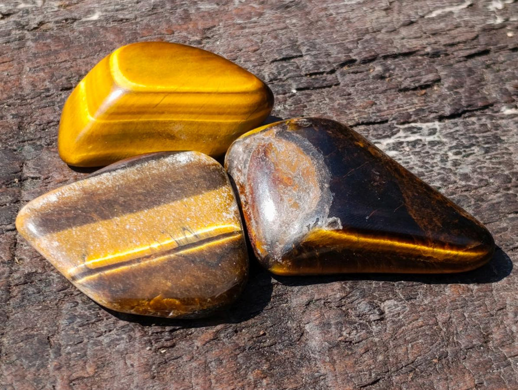 Polished Golden Tigers Eye Tumbled Slices x 111 From Prieska, South Africa