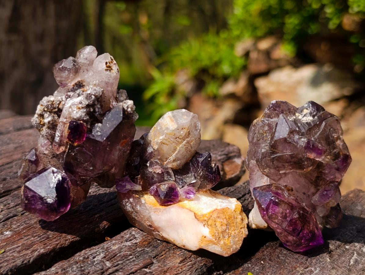 Hand Made Conglomerate Chiredzi Amethyst Crystals x 24 From South Africa