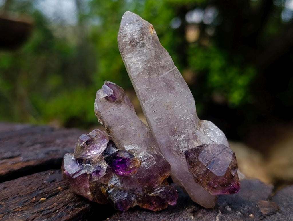 Hand Made Conglomerate Chiredzi Amethyst Crystals x 24 From South Africa