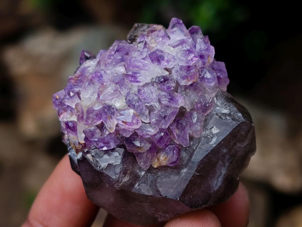 Hand Made Conglomerate Chiredzi Amethyst Crystals x 24 From South Africa