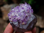 Hand Made Conglomerate Chiredzi Amethyst Crystals x 24 From South Africa