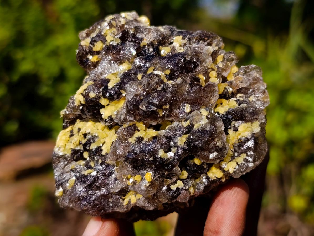 Natural Smokey Fluorite Specimens with Yellow Muscovite Mica x 3 From Erongo, Namibia
