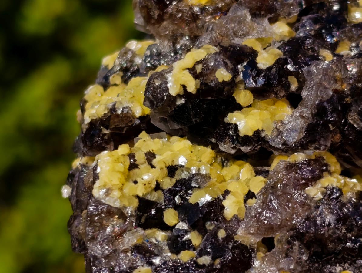 Natural Smokey Fluorite Specimens with Yellow Muscovite Mica x 3 From Erongo, Namibia