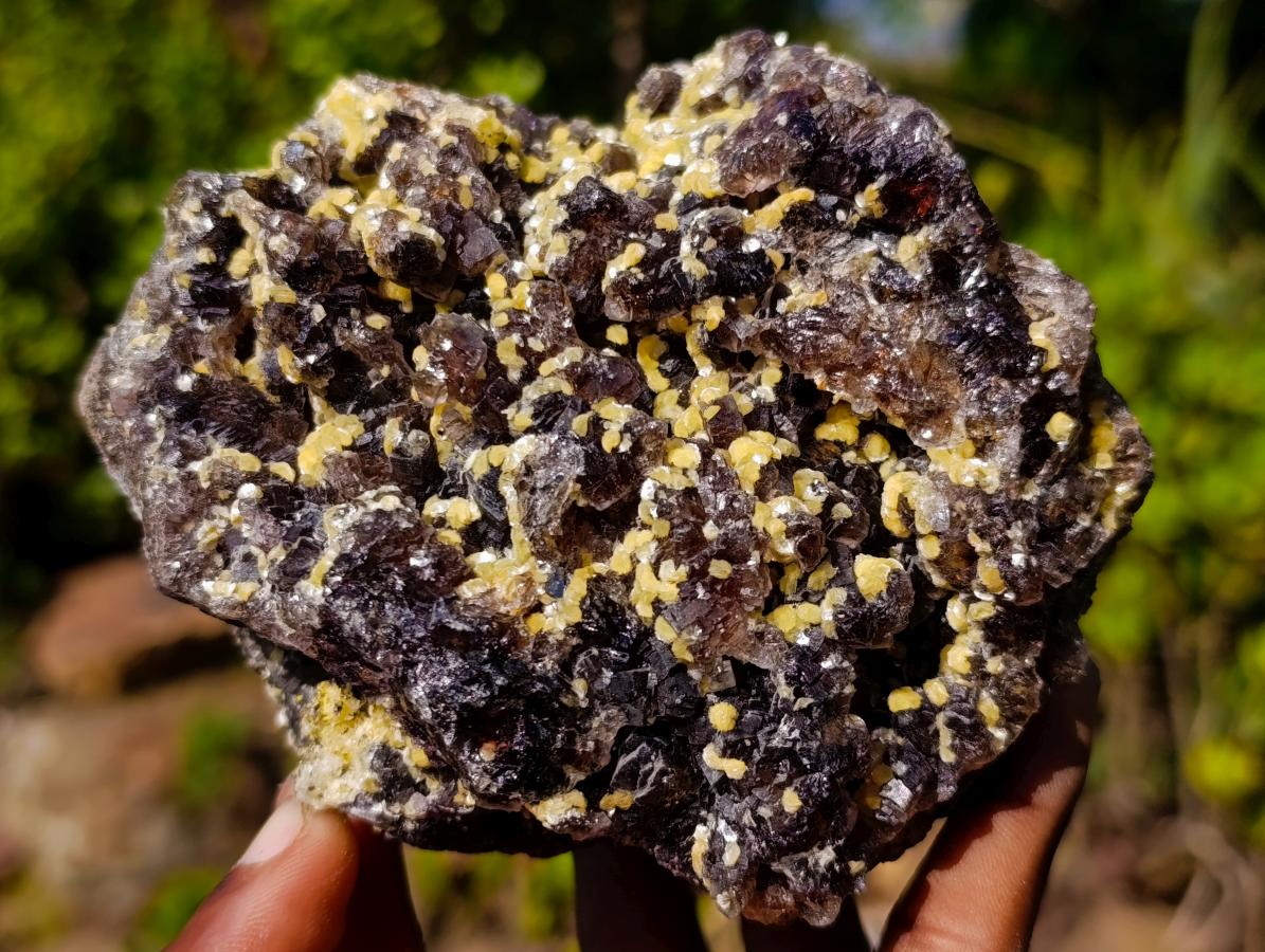 Natural Smokey Fluorite Specimens with Yellow Muscovite Mica x 3 From Erongo, Namibia