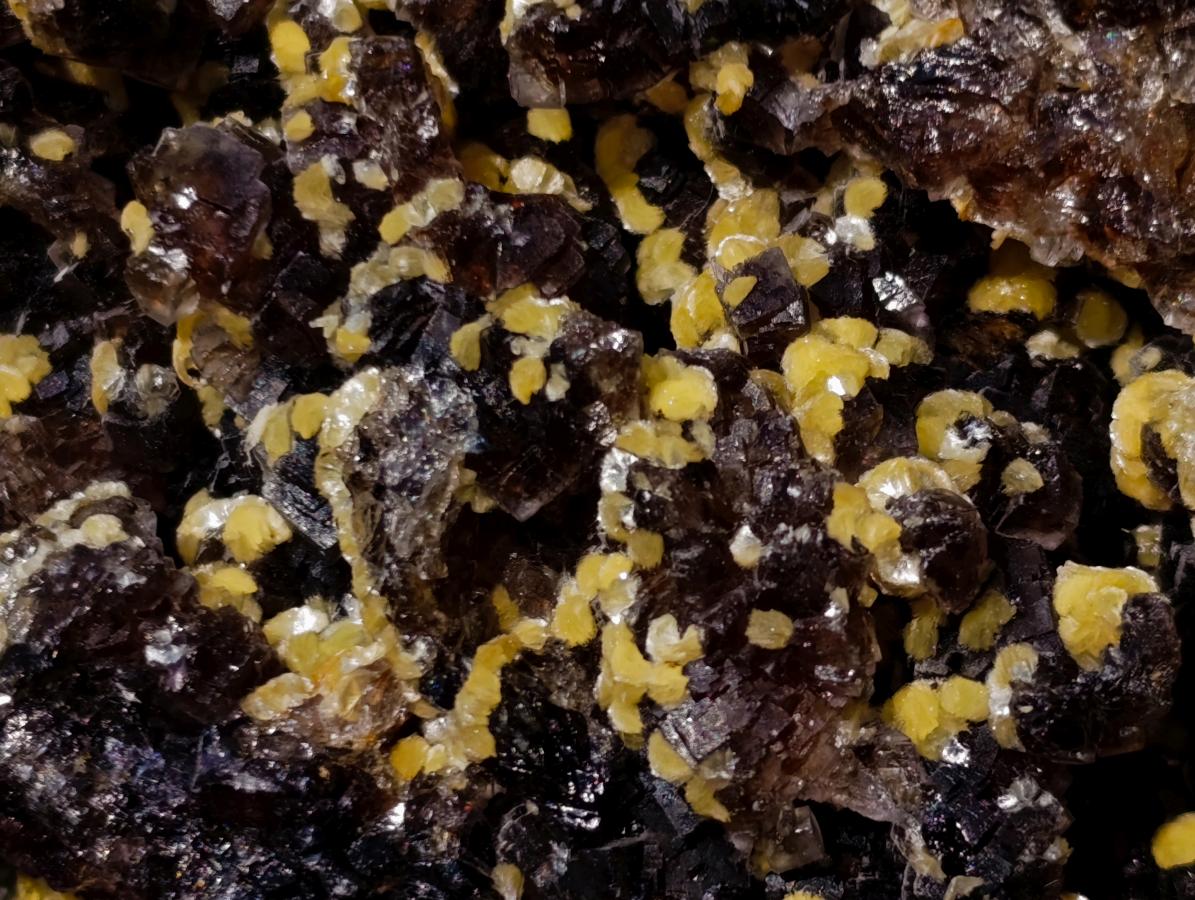 Natural Smokey Fluorite Specimens with Yellow Muscovite Mica x 3 From Erongo, Namibia