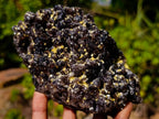 Natural Smokey Fluorite Specimens with Yellow Muscovite Mica x 3 From Erongo, Namibia