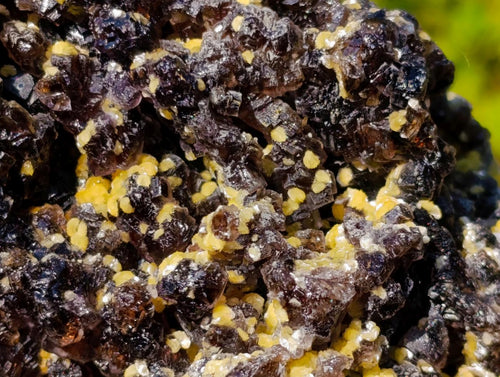 Natural Smokey Fluorite Specimens with Yellow Muscovite Mica x 3 From Erongo, Namibia