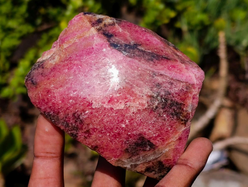 Polished One Side Rhodonite Nodules x 5 From Ambindavato, Madagascar