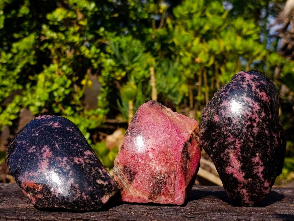 Polished One Side Rhodonite Nodules x 5 From Ambindavato, Madagascar