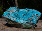 Natural Large Drusy Coated Chrysocolla Specimens with Malachite and Heterogenite x 1 From Lupoto Mine, Congo