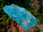 Natural Large Drusy Coated Chrysocolla Specimens with Malachite and Heterogenite x 1 From Lupoto Mine, Congo