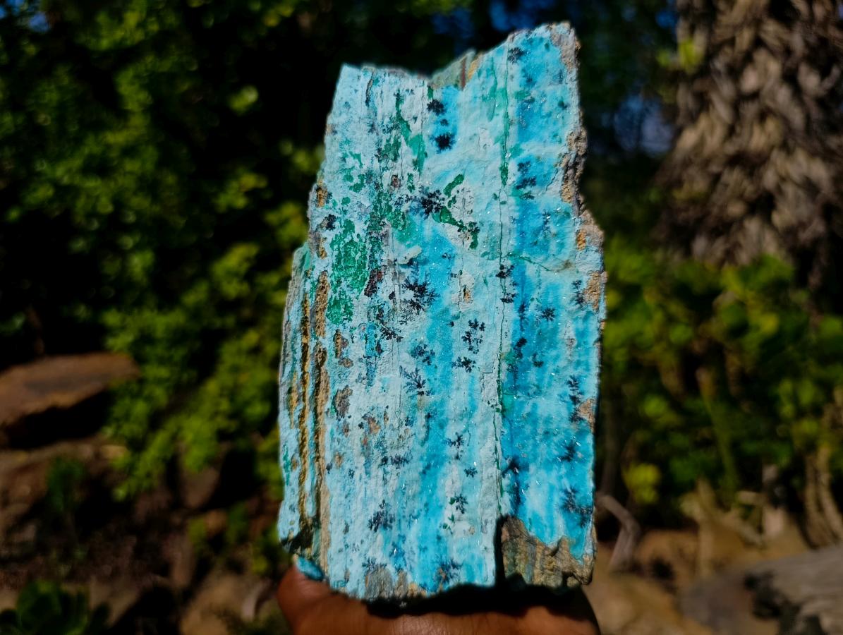 Natural Large Drusy Coated Chrysocolla Specimens with Malachite and Heterogenite x 1 From Lupoto Mine, Congo