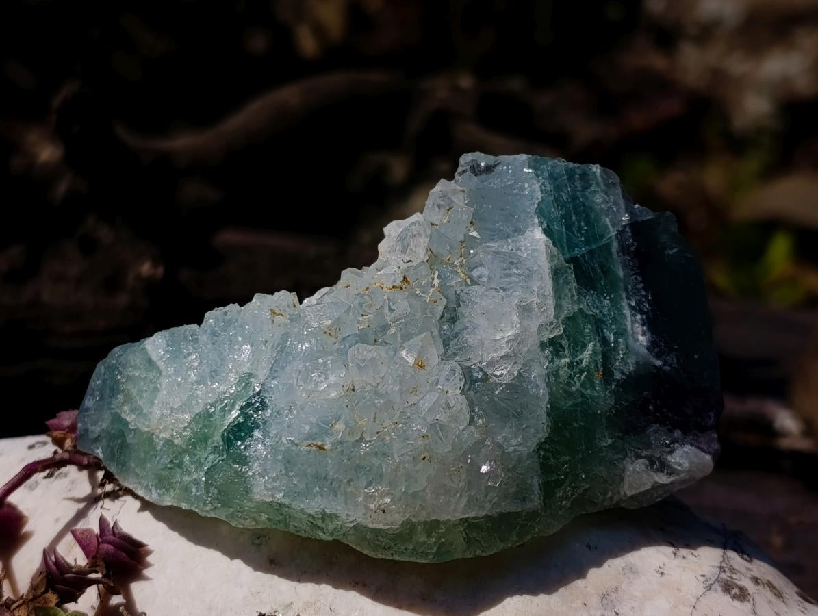 Natural Watermelon Fluorite Cobbed Specimens x 6 From Uis, Namibia