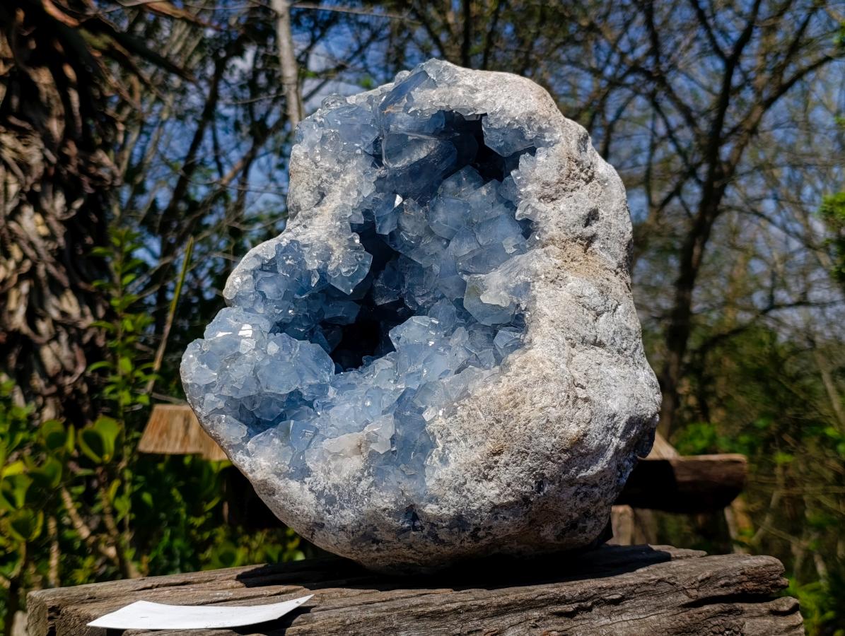 Natural XL Blue Celestite Geode Specimen x 1 From Sakoany, Madagascar
