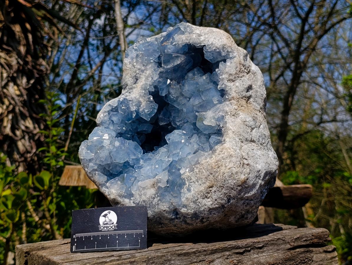 Natural XL Blue Celestite Geode Specimen x 1 From Sakoany, Madagascar