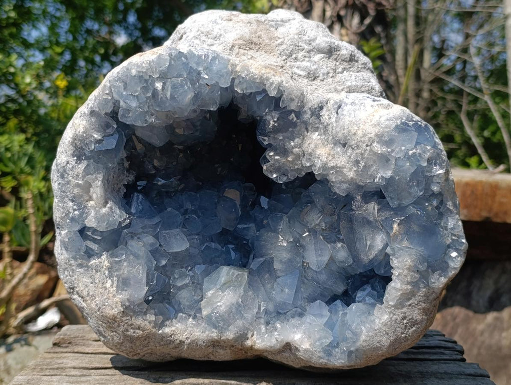 Natural XL Blue Celestite Geode Specimen x 1 From Sakoany, Madagascar