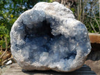 Natural XL Blue Celestite Geode Specimen x 1 From Sakoany, Madagascar