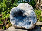 Natural XL Blue Celestite Geode Specimen x 1 From Sakoany, Madagascar