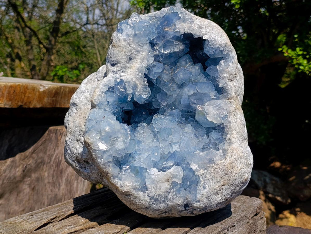 Natural XL Blue Celestite Geode Specimen x 1 From Sakoany, Madagascar