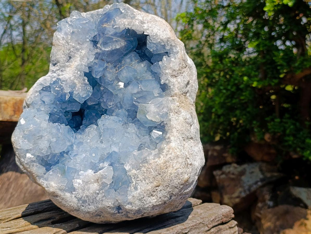 Natural XL Blue Celestite Geode Specimen x 1 From Sakoany, Madagascar