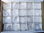 Polished Clear Quartz Eggs x 20 From Madagascar