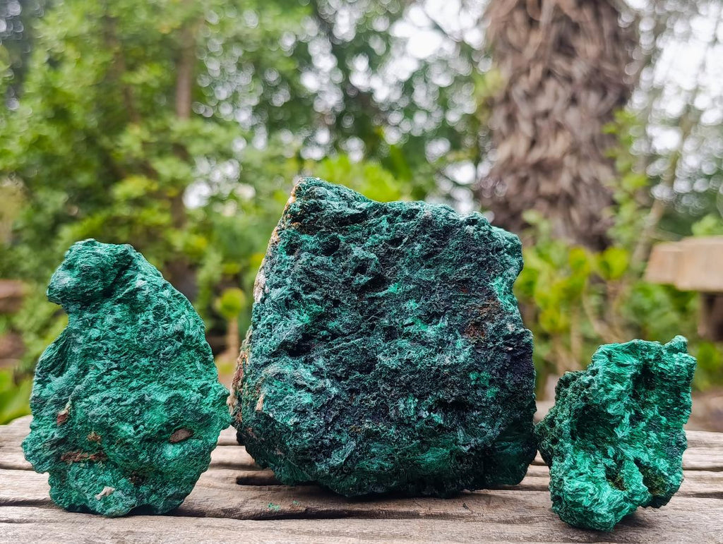 Natural Silky Malachite Specimens x 3 From Kasompe, Congo