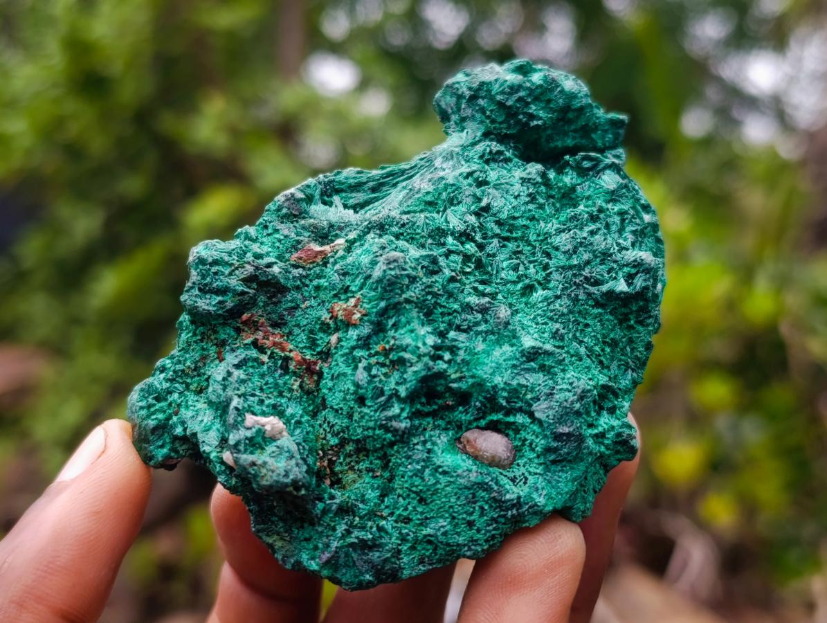 Natural Silky Malachite Specimens x 3 From Kasompe, Congo