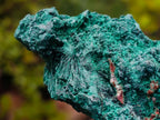 Natural Silky Malachite Specimens x 3 From Kasompe, Congo