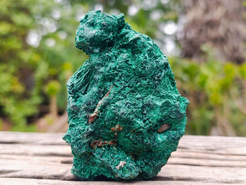 Natural Silky Malachite Specimens x 3 From Kasompe, Congo