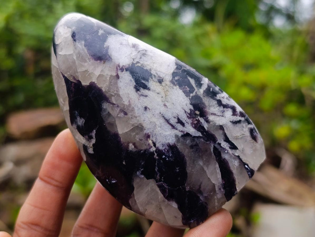 Polished Lepidolite Standing Display Pieces x 6 From Zimbabwe
