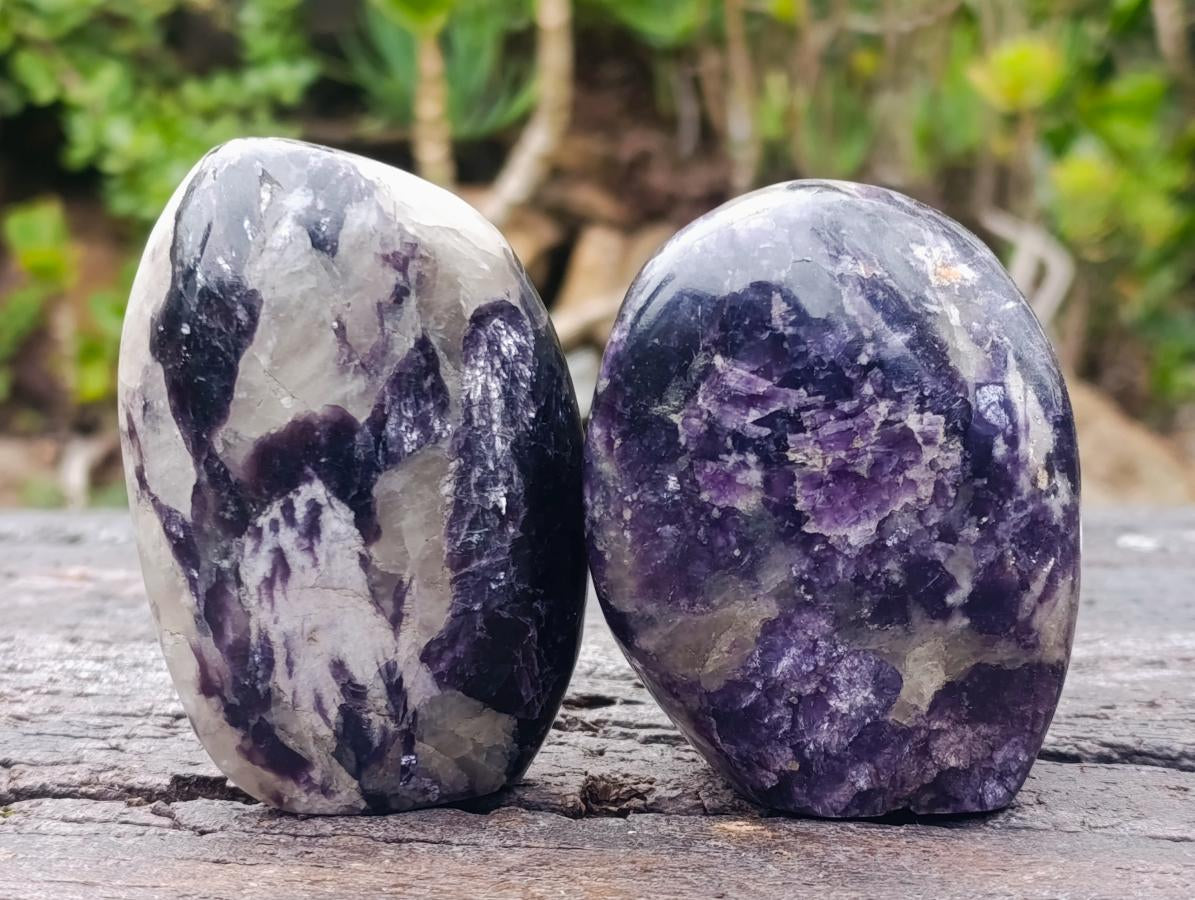 Polished Lepidolite Standing Display Pieces x 6 From Zimbabwe
