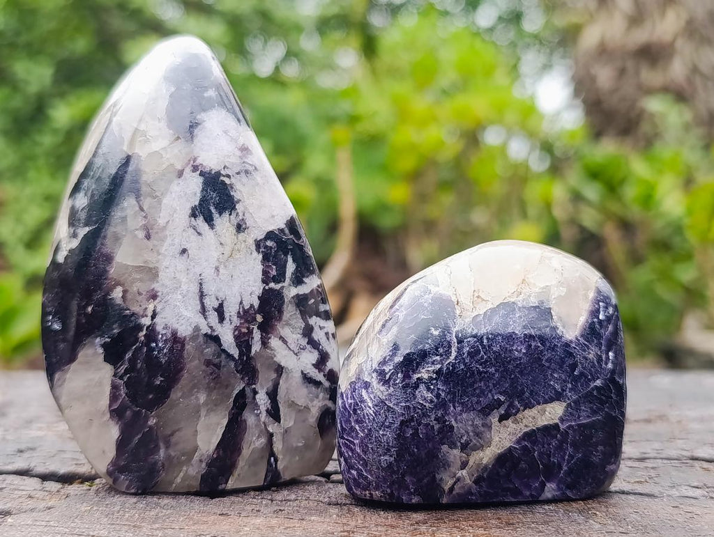 Polished Lepidolite Standing Display Pieces x 6 From Zimbabwe